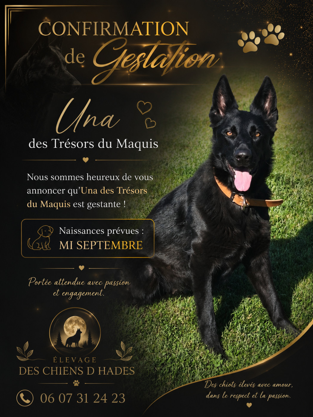 confirmation de gestation